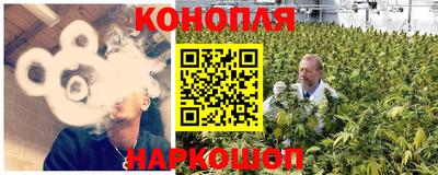 прущие крисы Будённовск