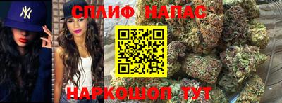 спиды Бузулук
