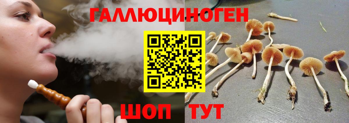 Петропавловск-Камчатский  Галлюциногенные грибы Magic Shrooms  Псилоцибиновые грибы ЛСД  Вход с VPN 
